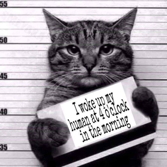 Meet your Posher, Myriam - Picture 1 of 1